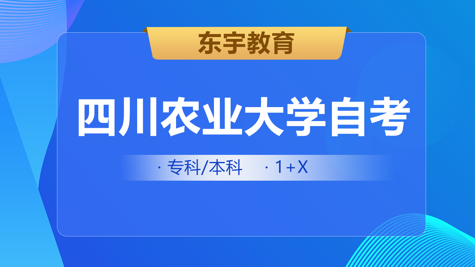 如何理解个人自学、社会助学和国家考试？