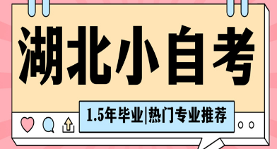 湖北省高等教育自学考试2025年报考简章